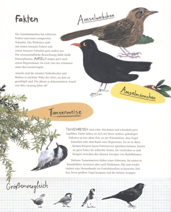 Die Natur und du - Geh hinaus auf Entdeckungsreise – Bild 4