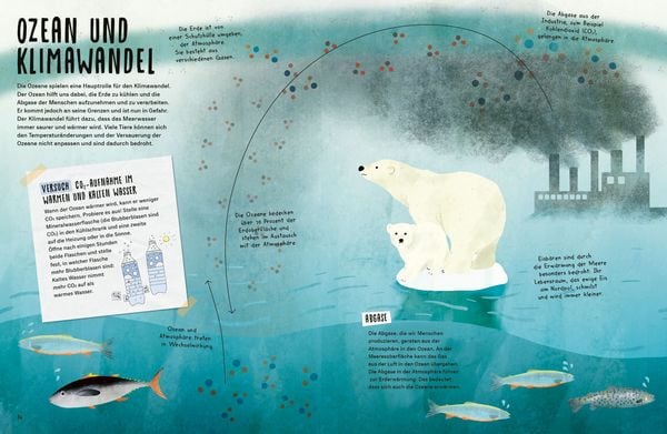 My Ocean Challenge - Kurs auf Klimaschutz – Bild 2
