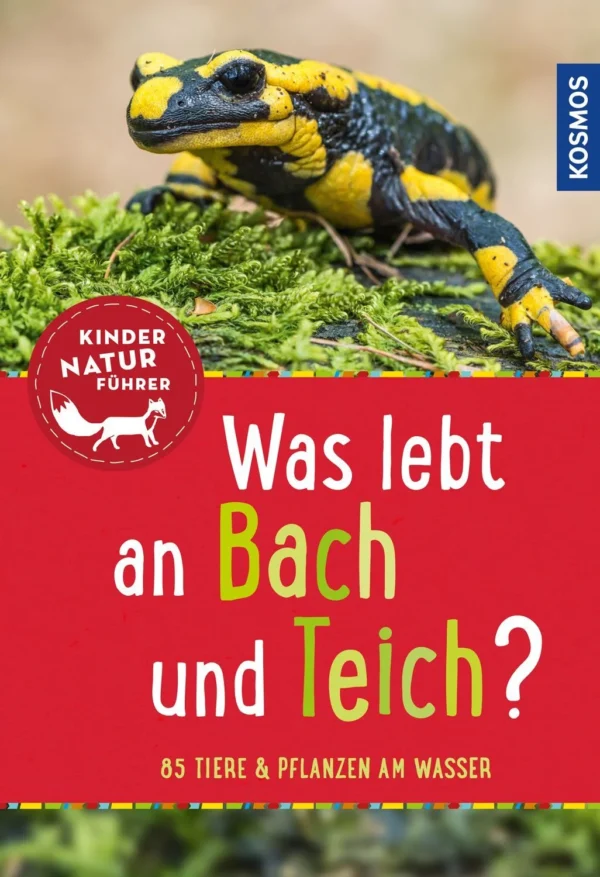 Kindernaturführer - Was lebt an Bach und Teich?