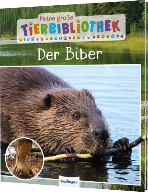 Meine große Tierbibliothek - Der Biber